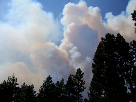 Smoke n Sky