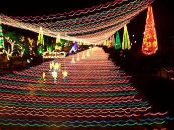 christmas-lights1.jpg