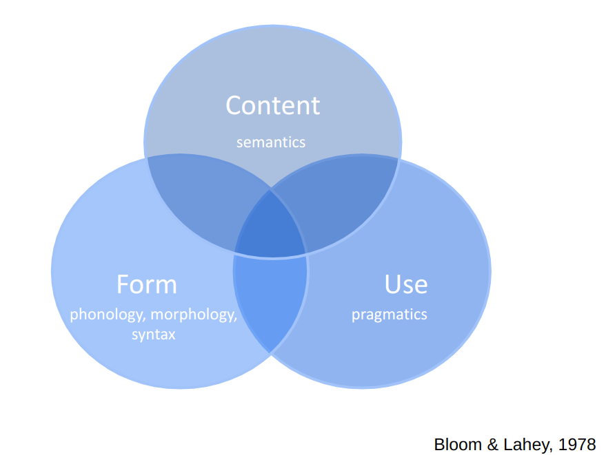 Bloom and Lahey's model of language