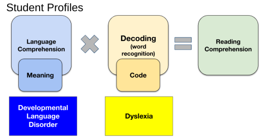 A graphic showing the equation of Language Comprehension X Decoding = Reading Comprehension, with a struggle in LC as DLD, and a struggle in Decoding as Dyslexia.